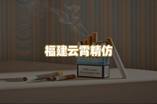 福建云霄精仿